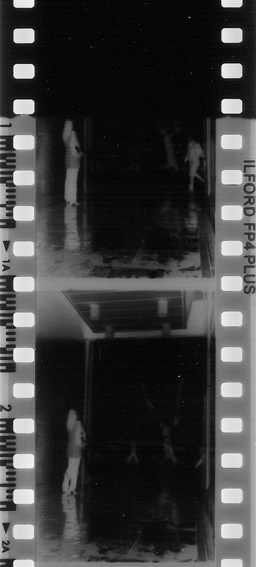 Eksik Fotoğrafın İçinde… / In The Missing Photograph…