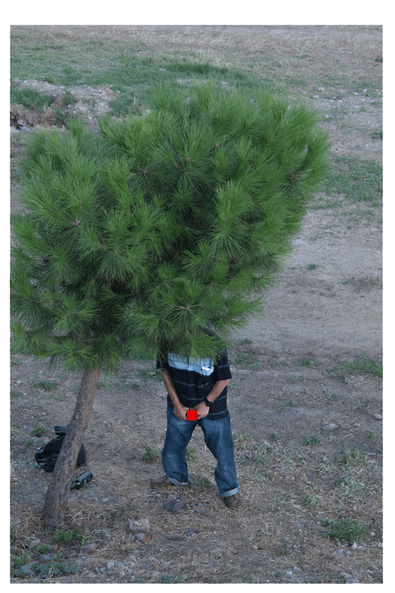 İnsan Doğası, Kavranılabilir Nedenselliğin&nbsp;Ötesinde