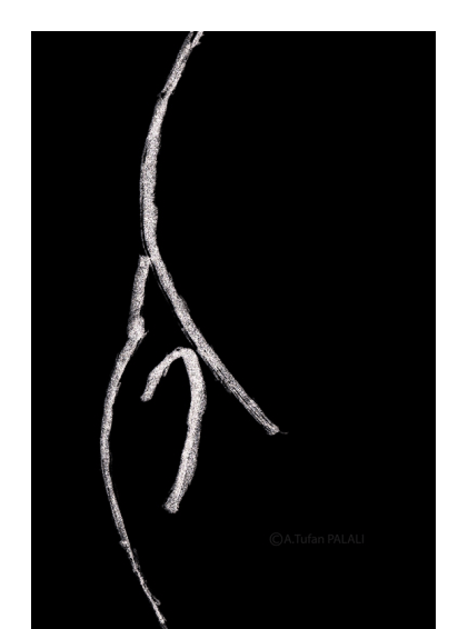 İmparatorun Sevgilisi! / The Emperors&nbsp;Prostitute