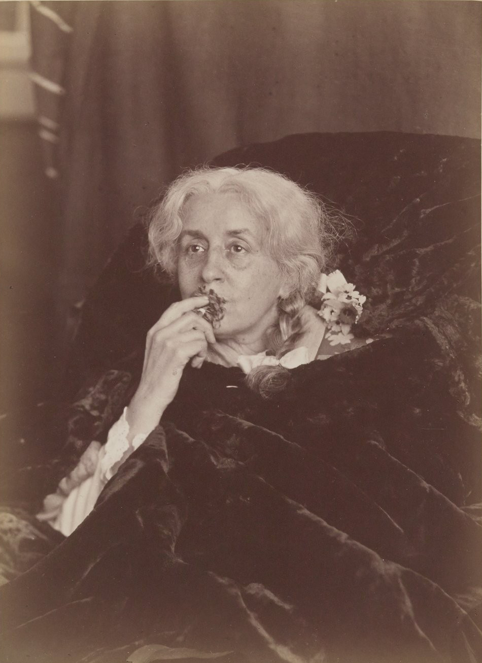 camera lucida, chapter 28'deki fotograf_farkli taraftan